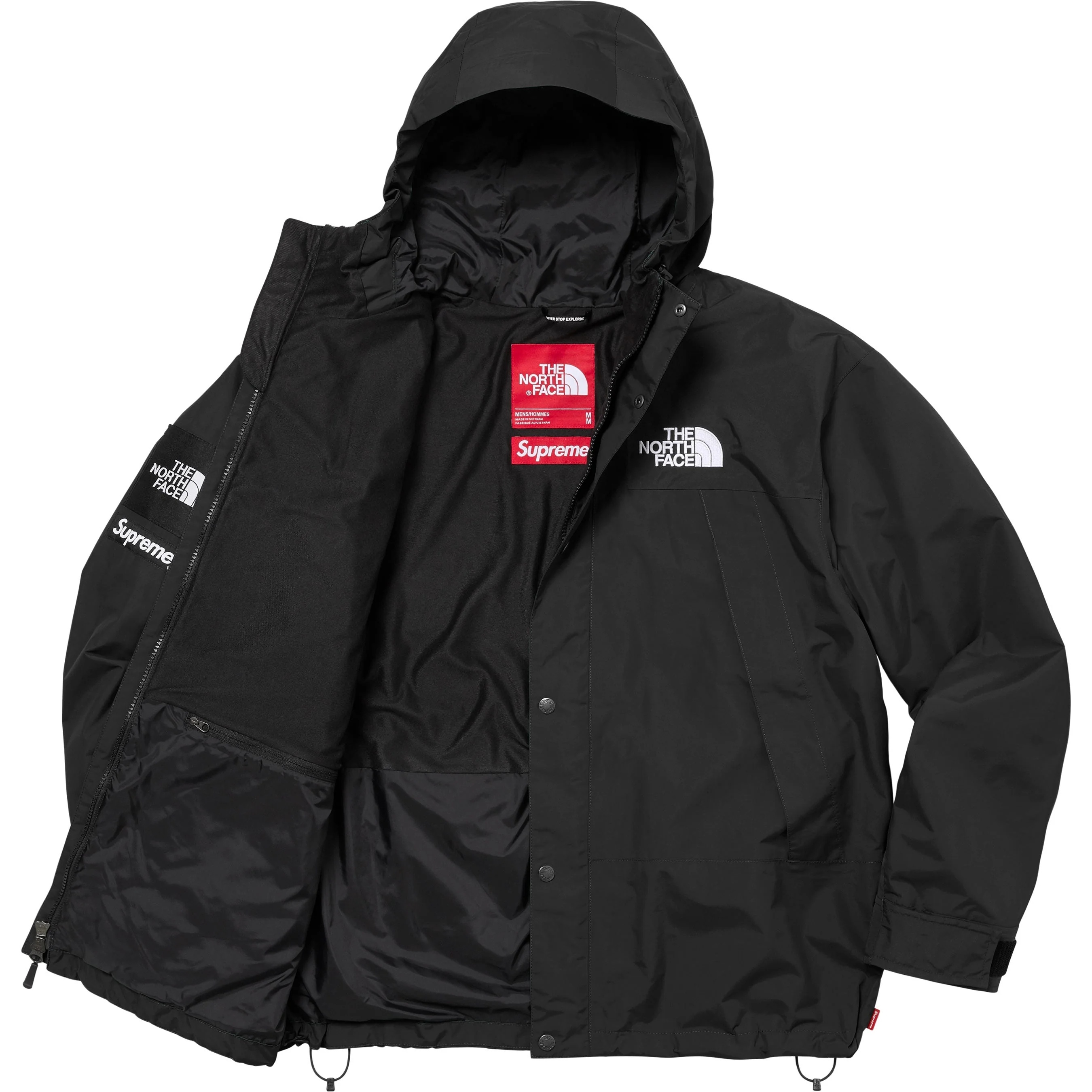 Supreme®/The North Face® Mountain Jacket view 10